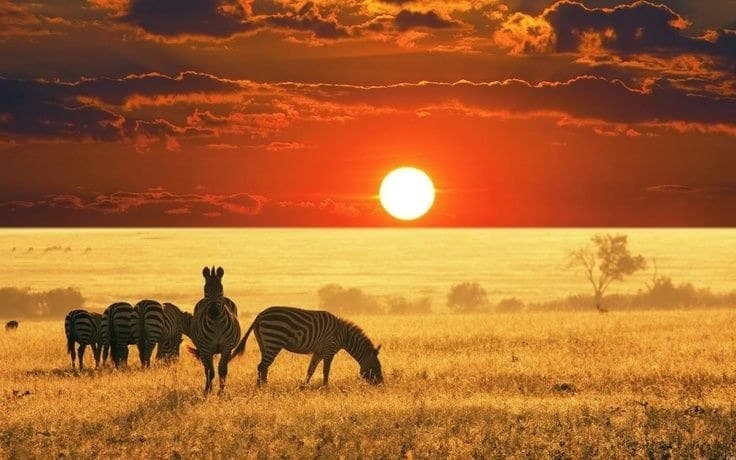 Viaje a República Centroafricana