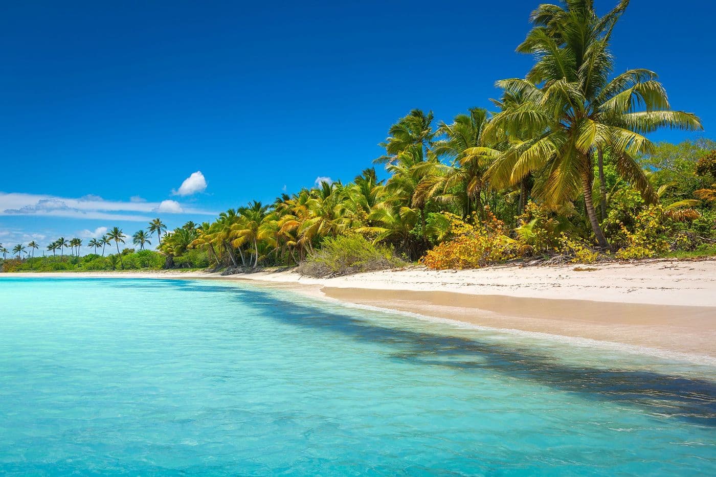 Viaje a República Dominicana