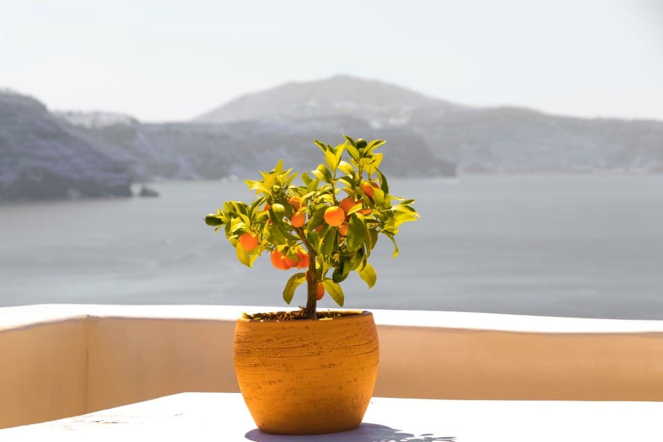 Viaje a Grecia
