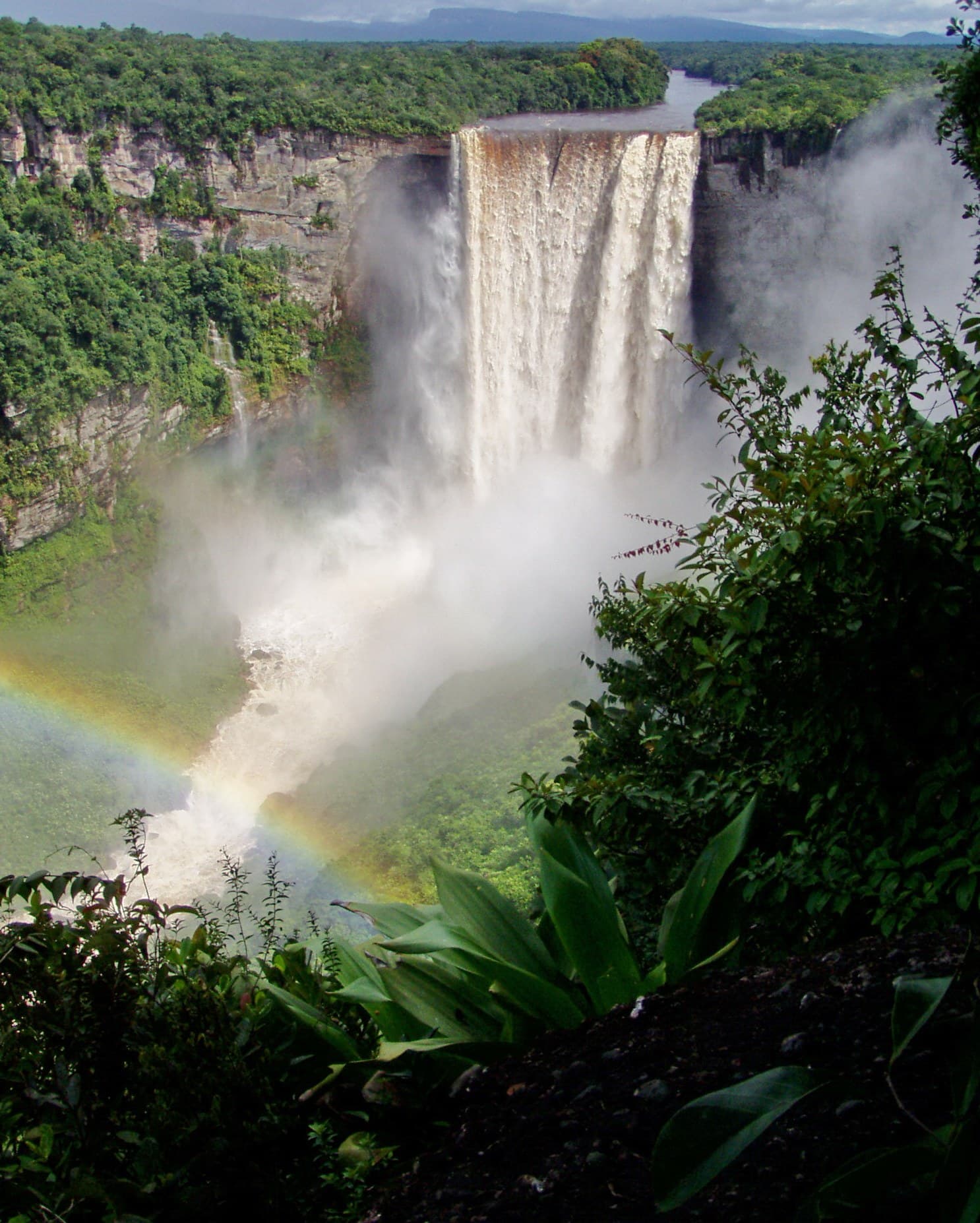 Viaje a Guyana