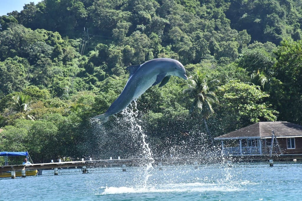Viaje a Honduras