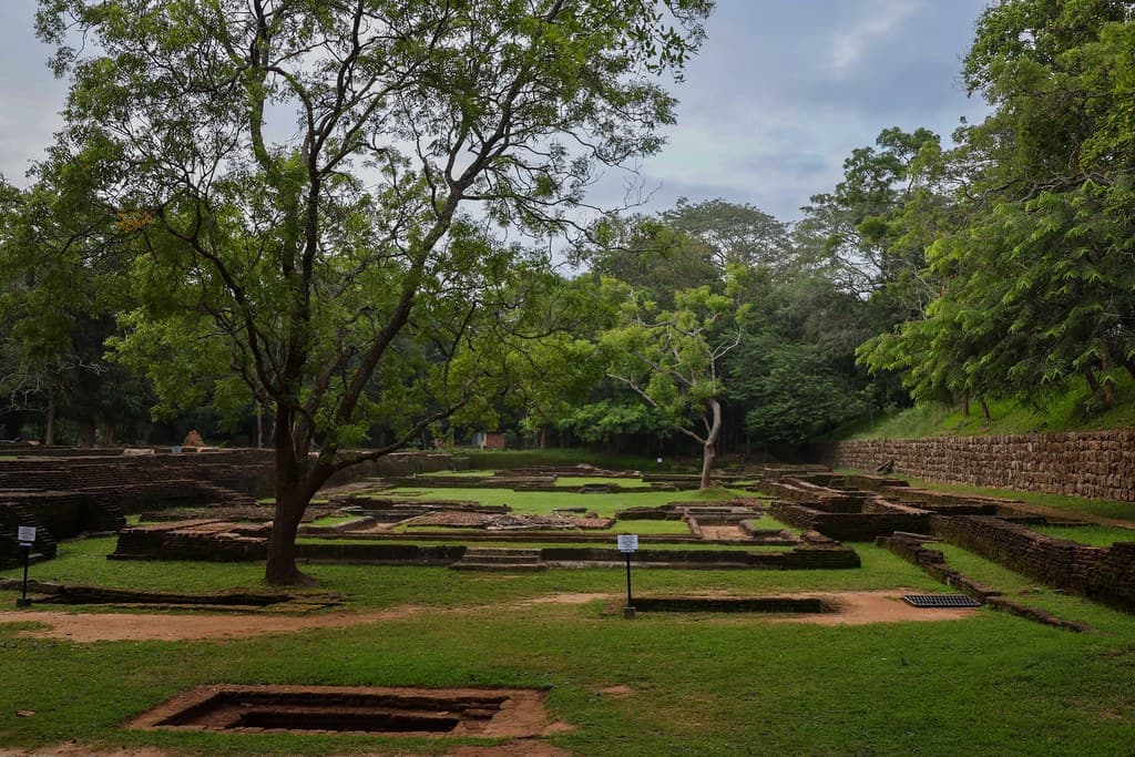 Viaje a Sri Lanka
