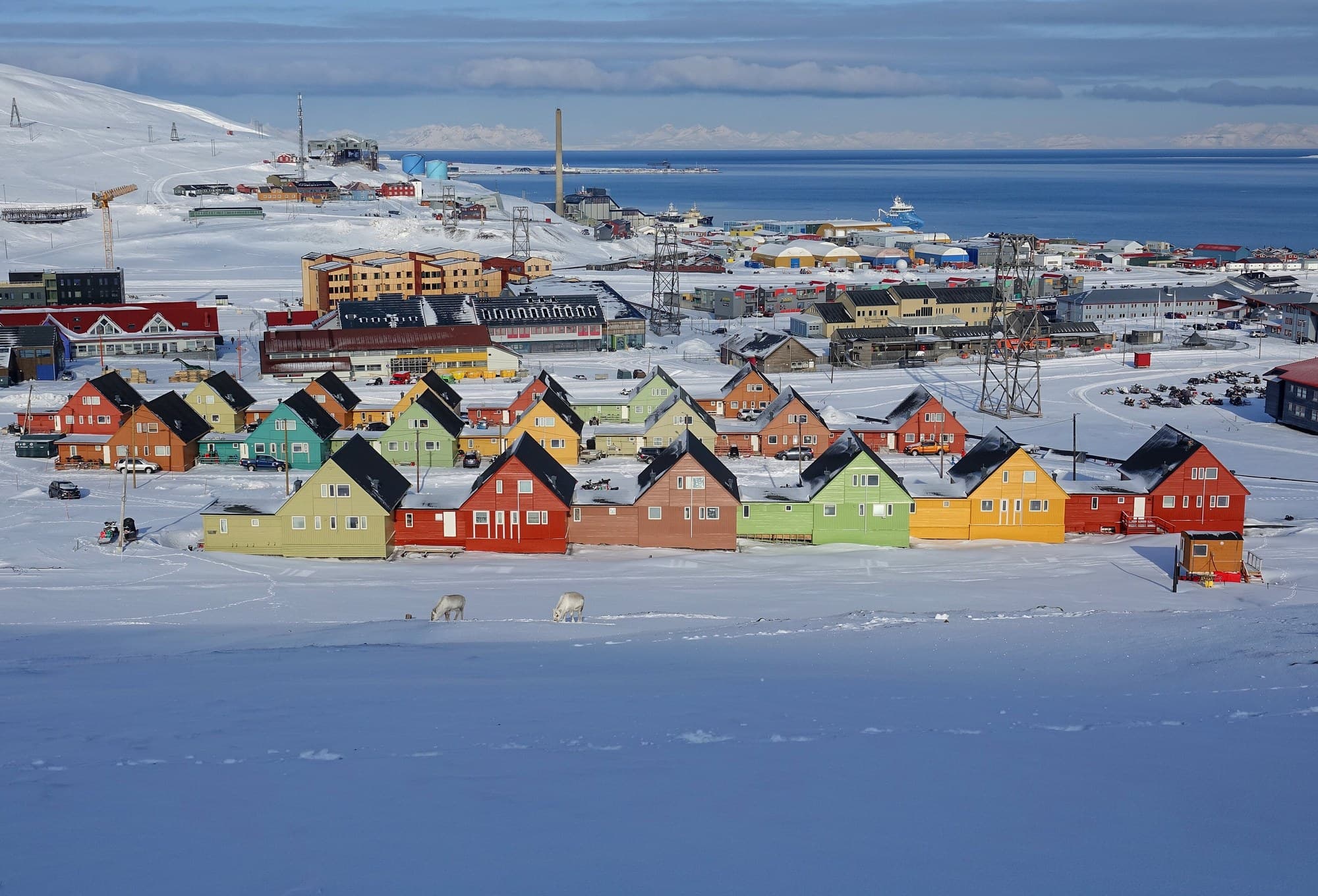 Viaje a Svalbard y Jan Mayen