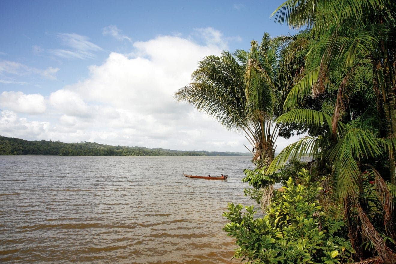 Viaje a Surinam
