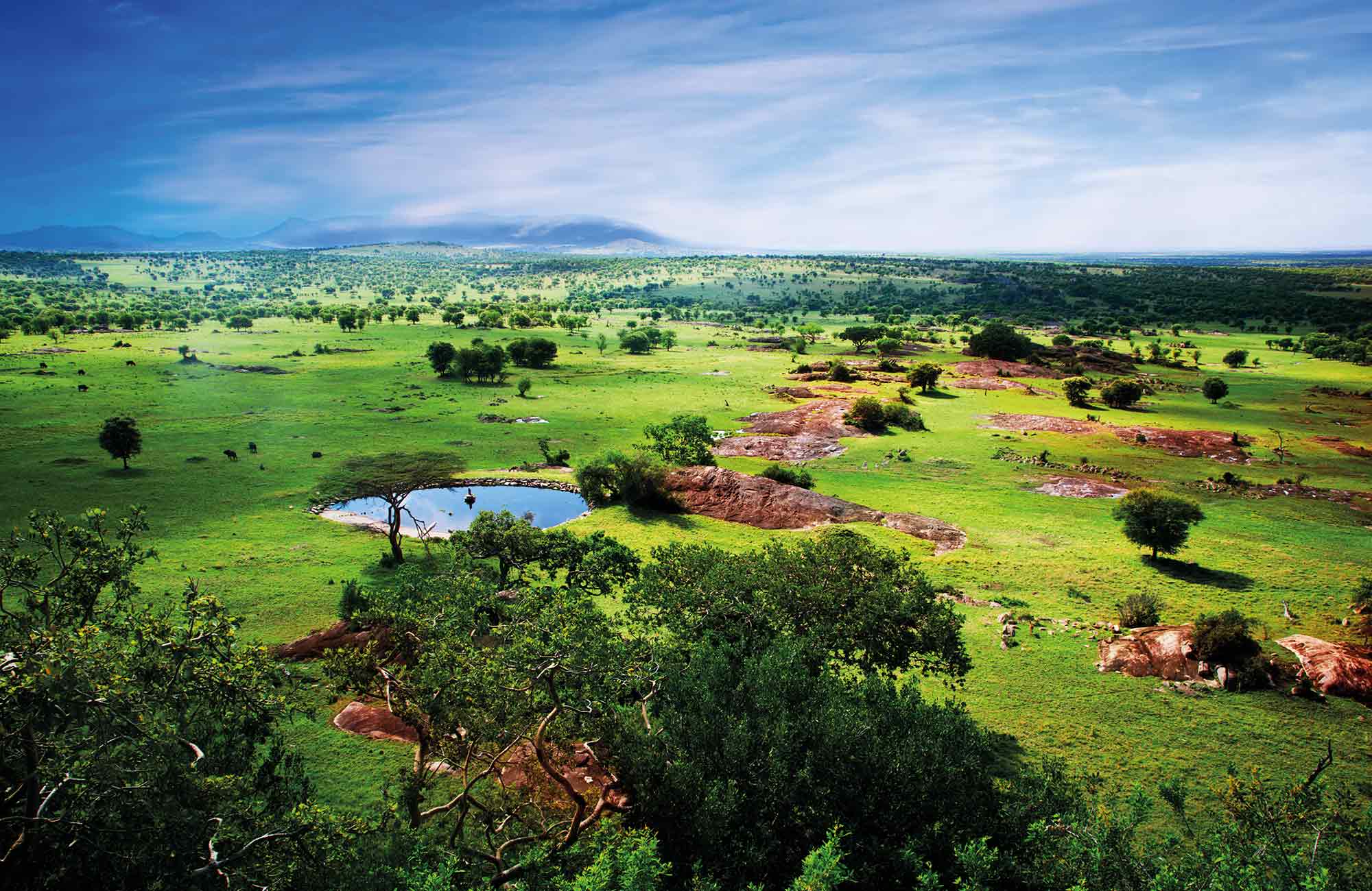 Viaje a Tanzania