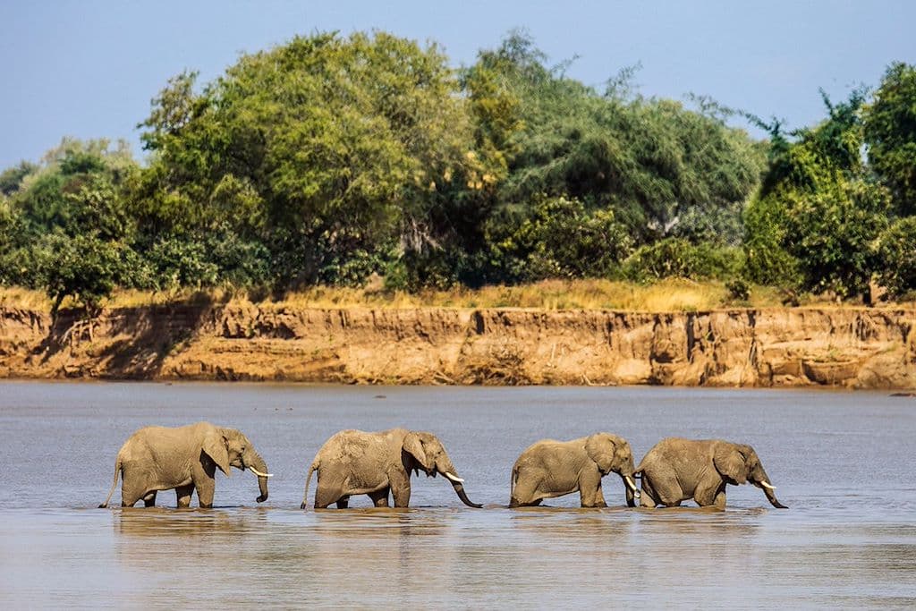 Viaje a Zambia